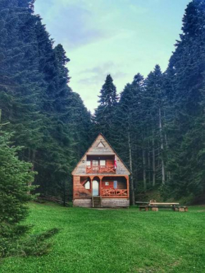 Cottage Sochi